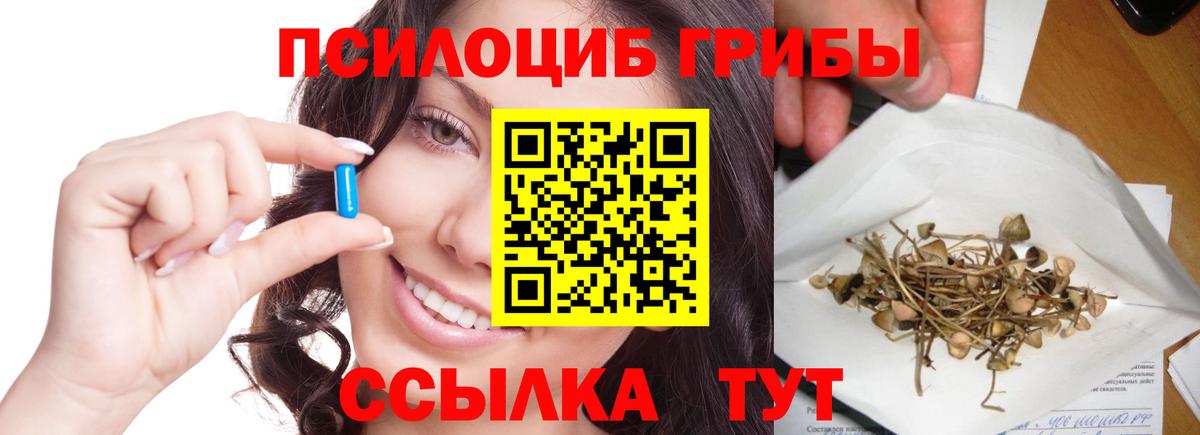 Псилоцибиновые грибы Psilocybe  Галлюциногенные грибы MAGIC MUSHROOMS  закладка  Сухой Лог  Вход с VPN 